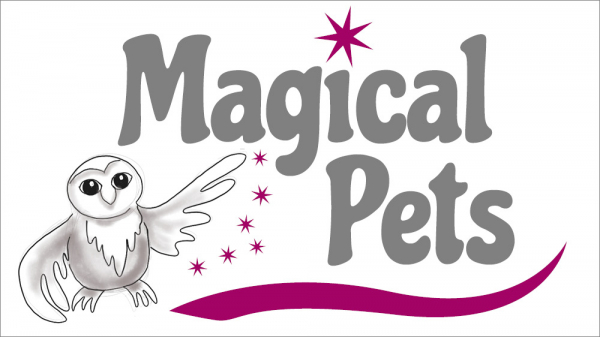 "Magical Pets". Mit Zeichnung einer Eule, die ihren Flügel ausbreitet, um den Titel des Spiels zu präsentieren. Drumherum sind magentafarbene Sterne.
